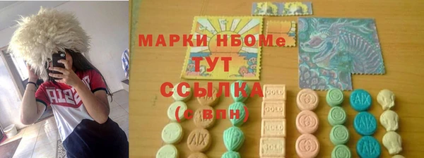 крисы Козельск