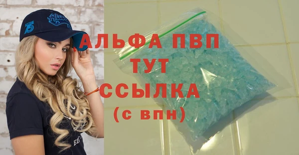 крисы Козельск