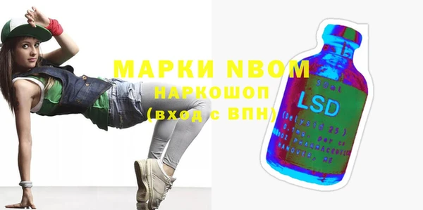 крисы Козельск