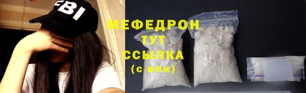 крисы Козельск