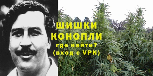 крисы Козельск