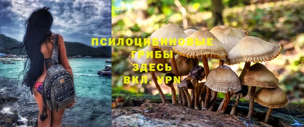 прущие крисы Кострома