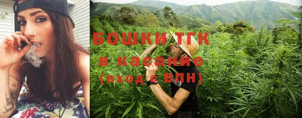 прущие крисы Кодинск