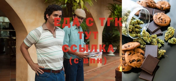 крисы Козельск
