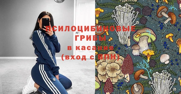 прущие крисы Кодинск