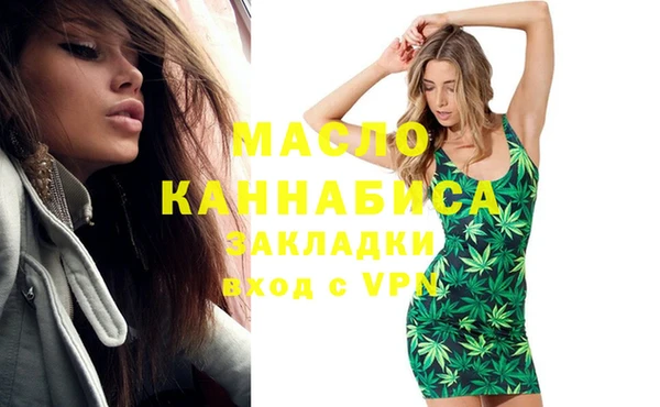 крисы Козельск