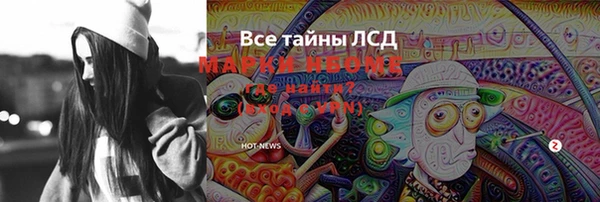 крисы Козельск