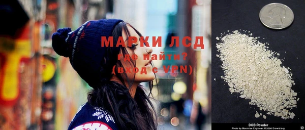 крисы Козельск