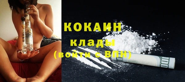 крисы Козельск