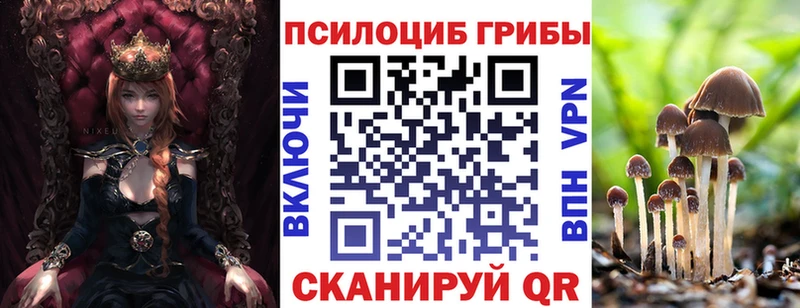 МЕГА ссылки  Приволжский  Псилоцибиновые грибы Psilocybe 